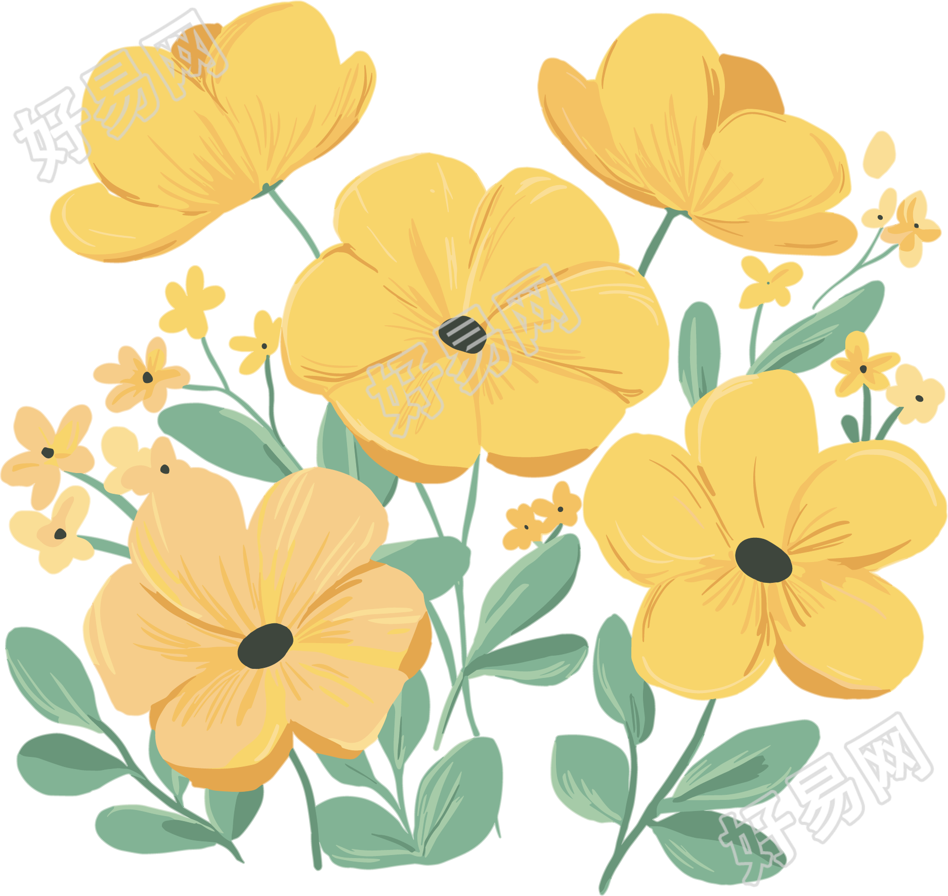 黄色小花水彩插图