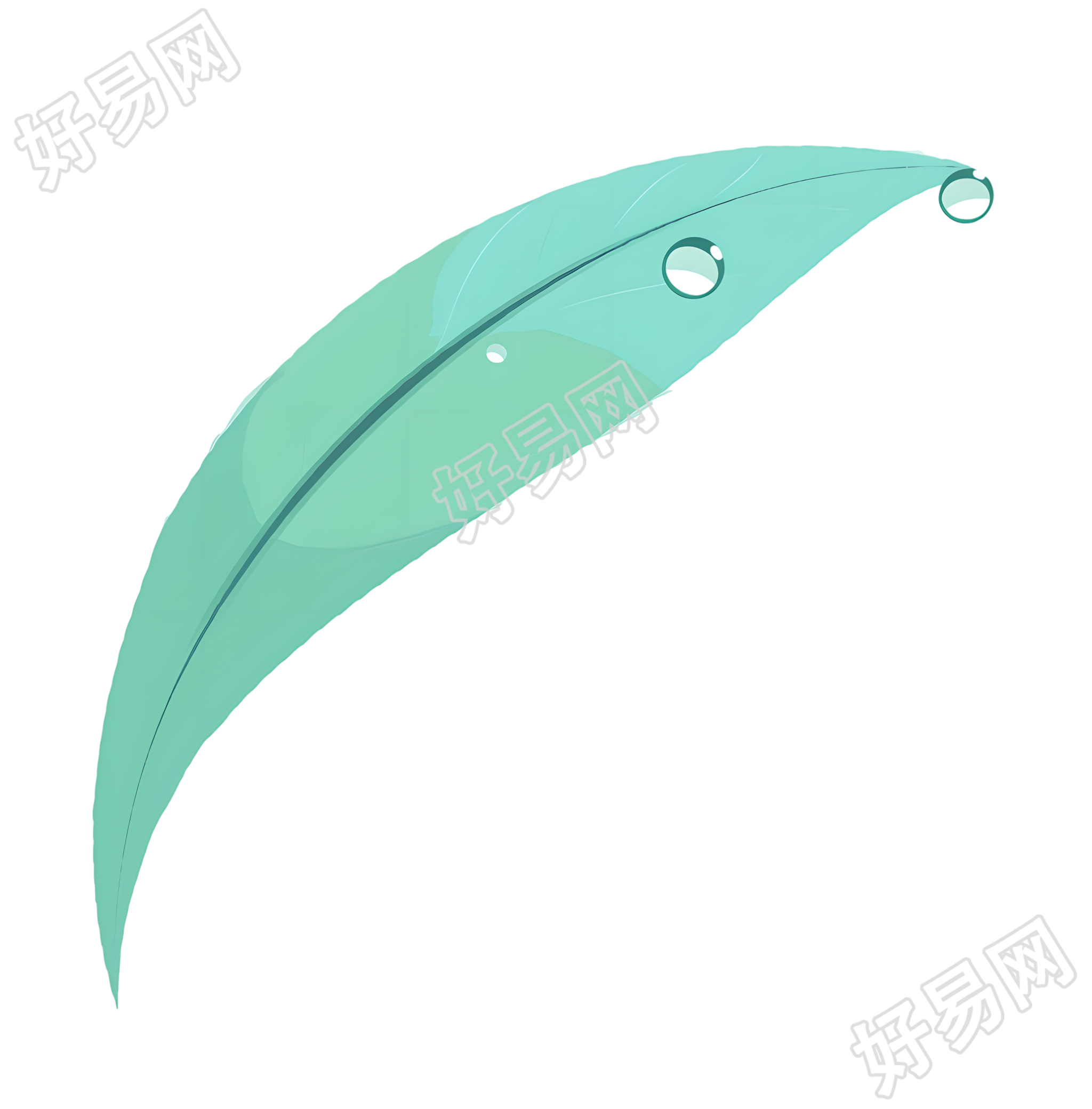 叶片露水插画