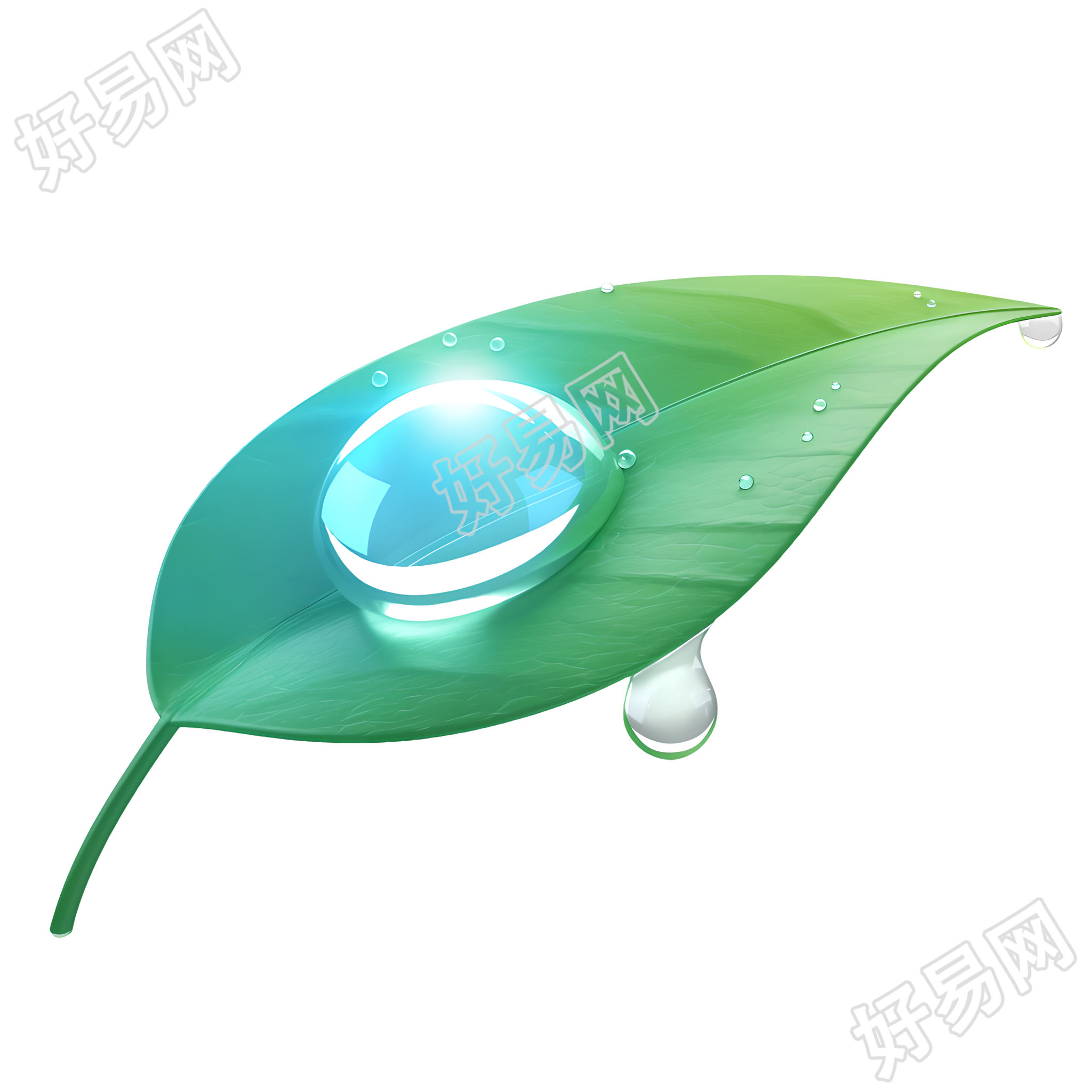 叶片露水PNG商用素材