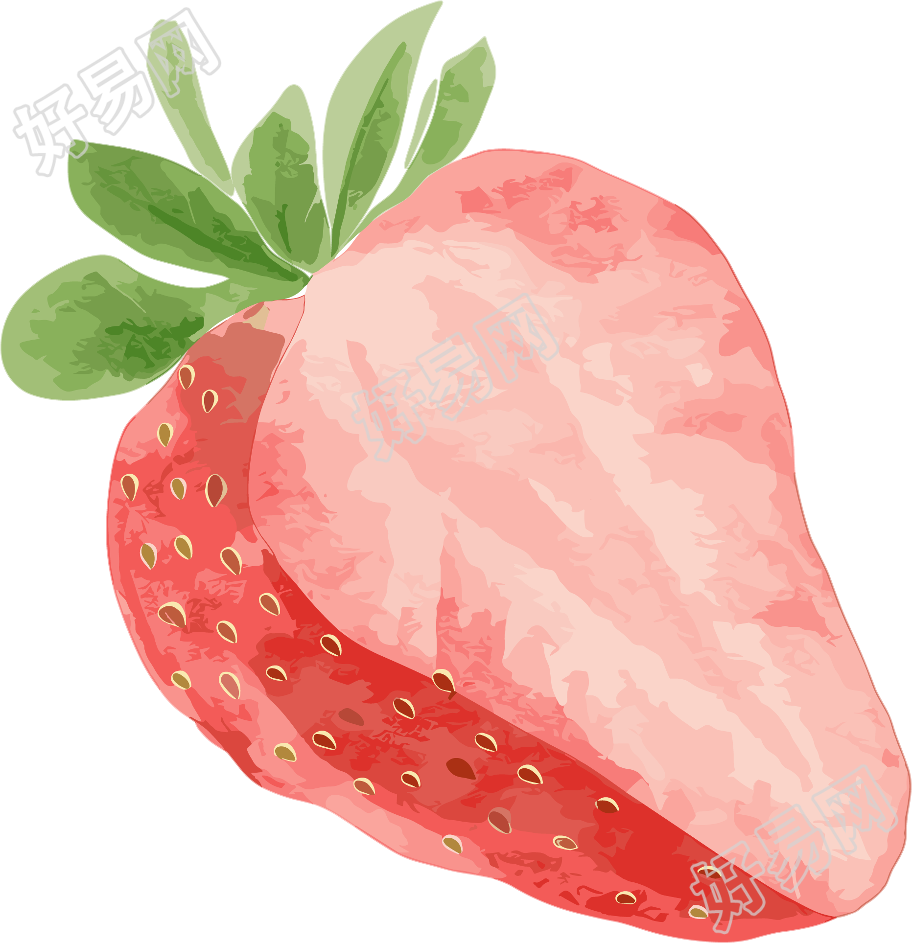 草莓水彩元素