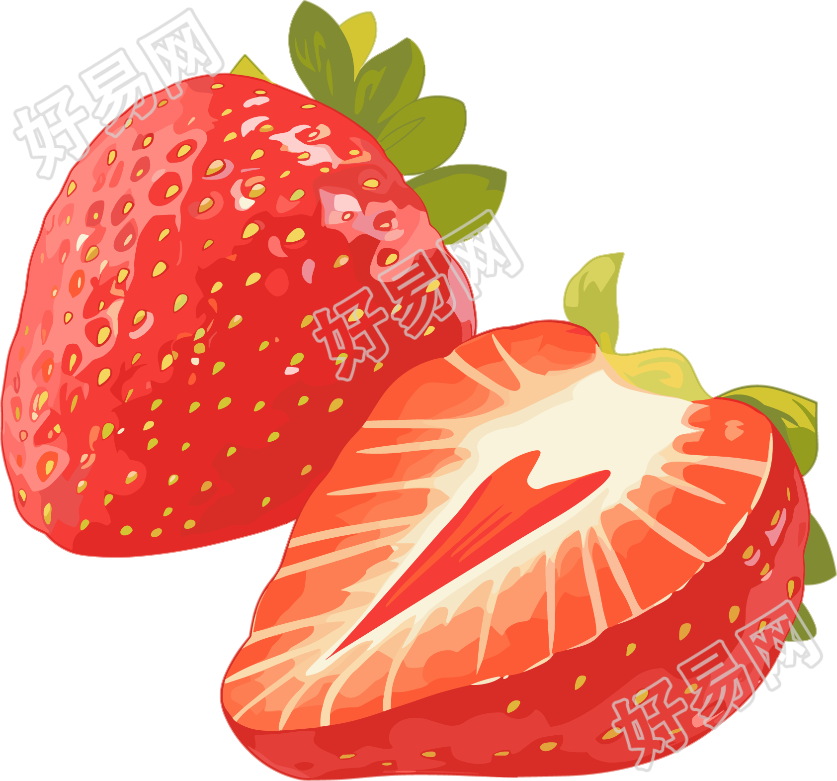草莓水彩插图