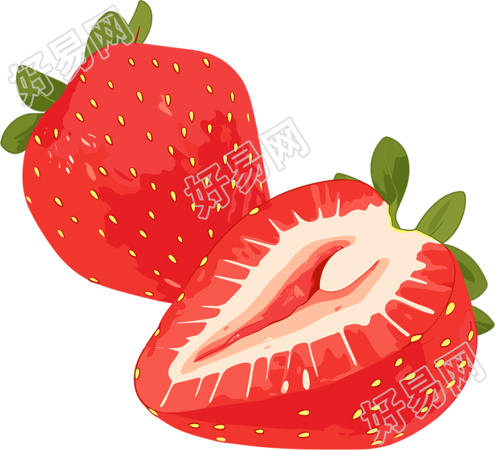 草莓水彩可商用插画