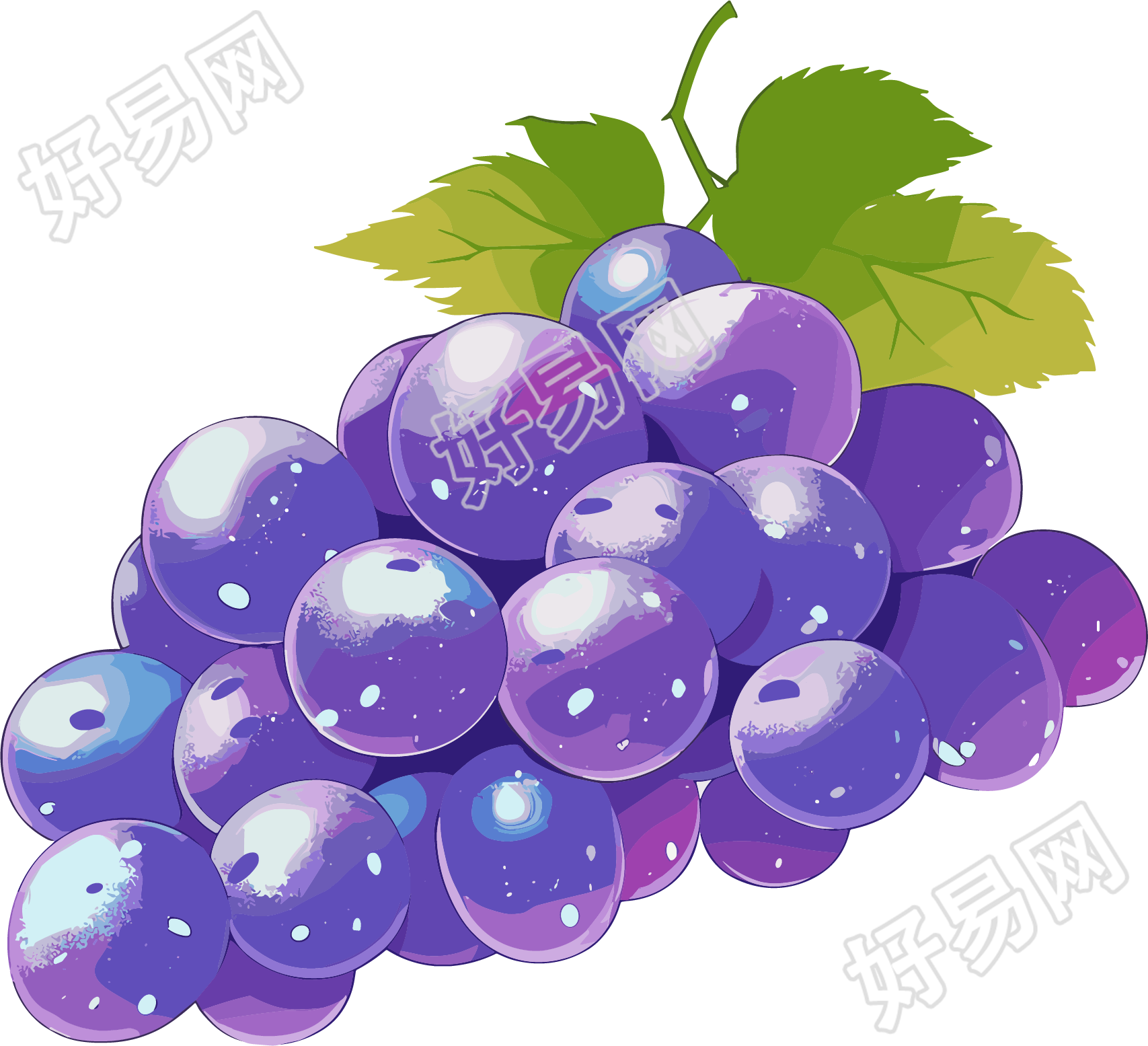 紫色葡萄元素