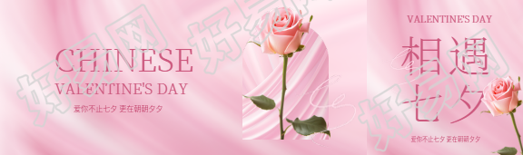 七夕节玫瑰花实景公众号封面图