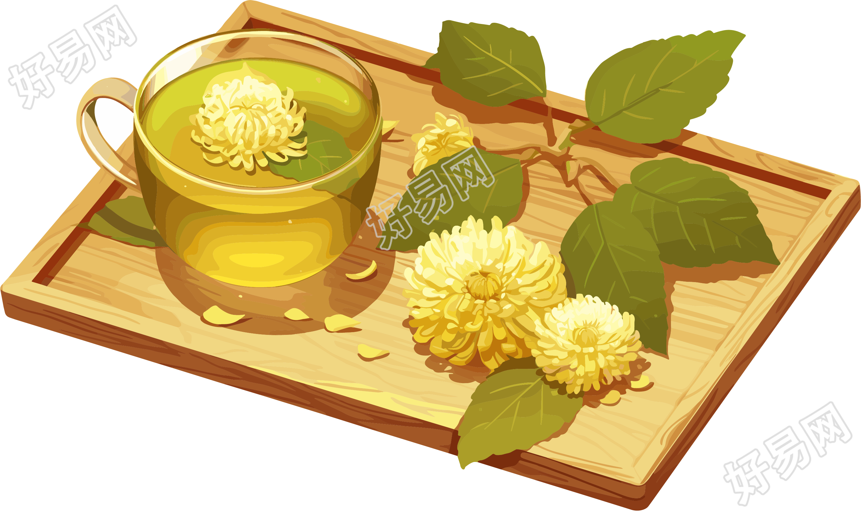 菊花茶图形素材