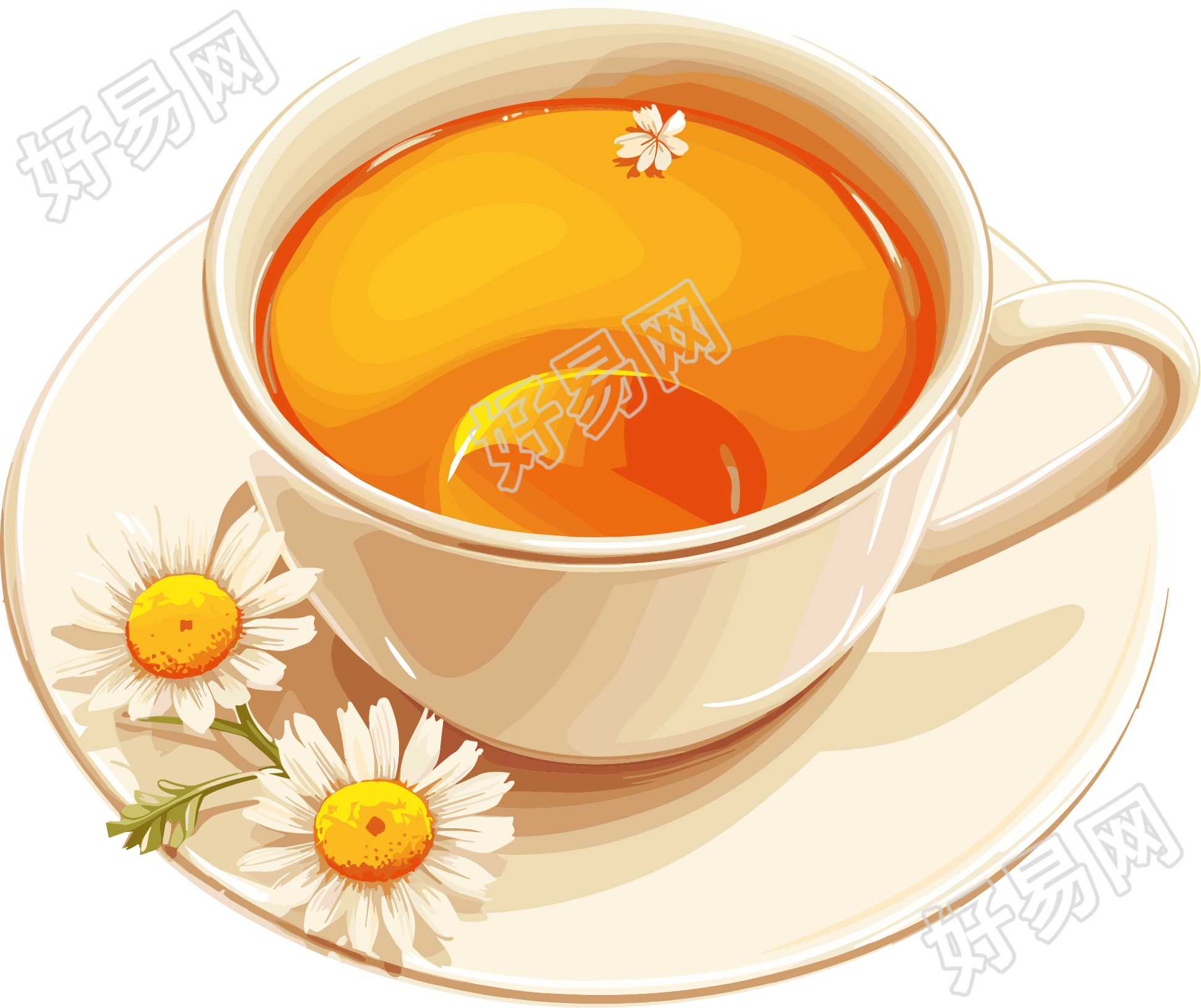 菊花茶透明背景素材