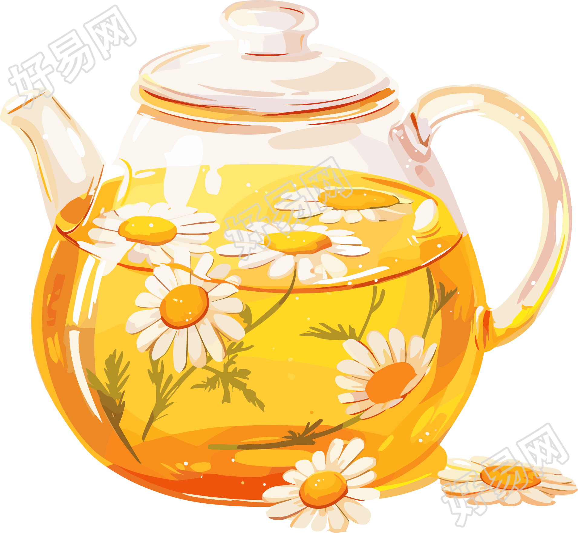 菊花茶可商用插画