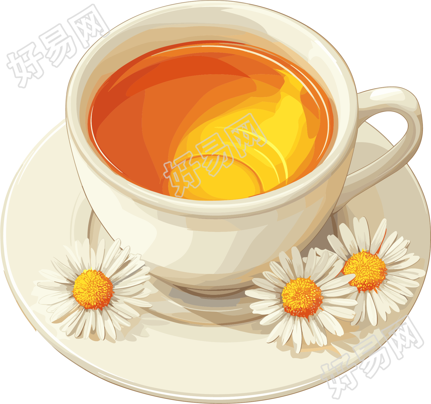 菊花茶简约插图