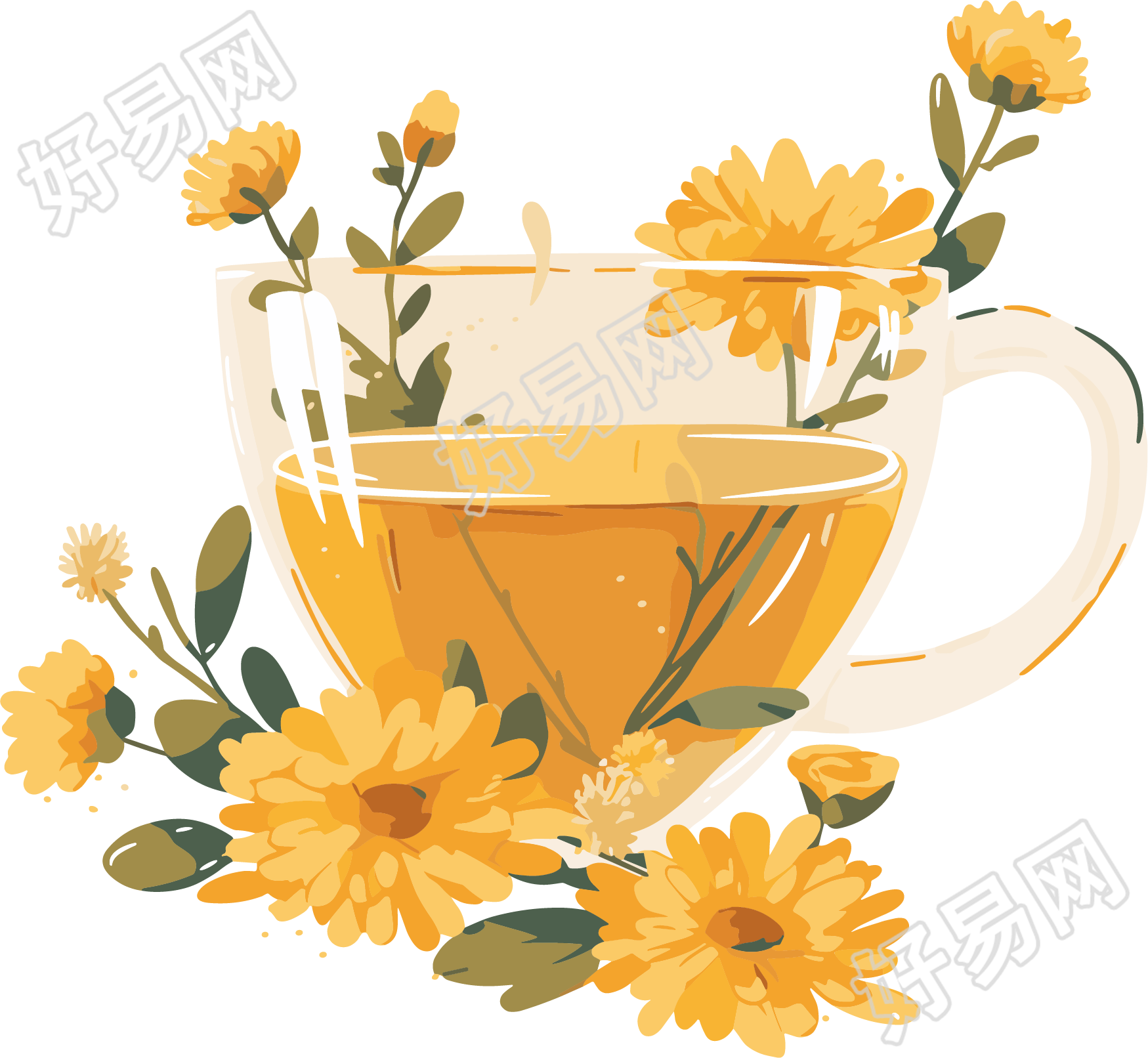 菊花茶茶杯插图