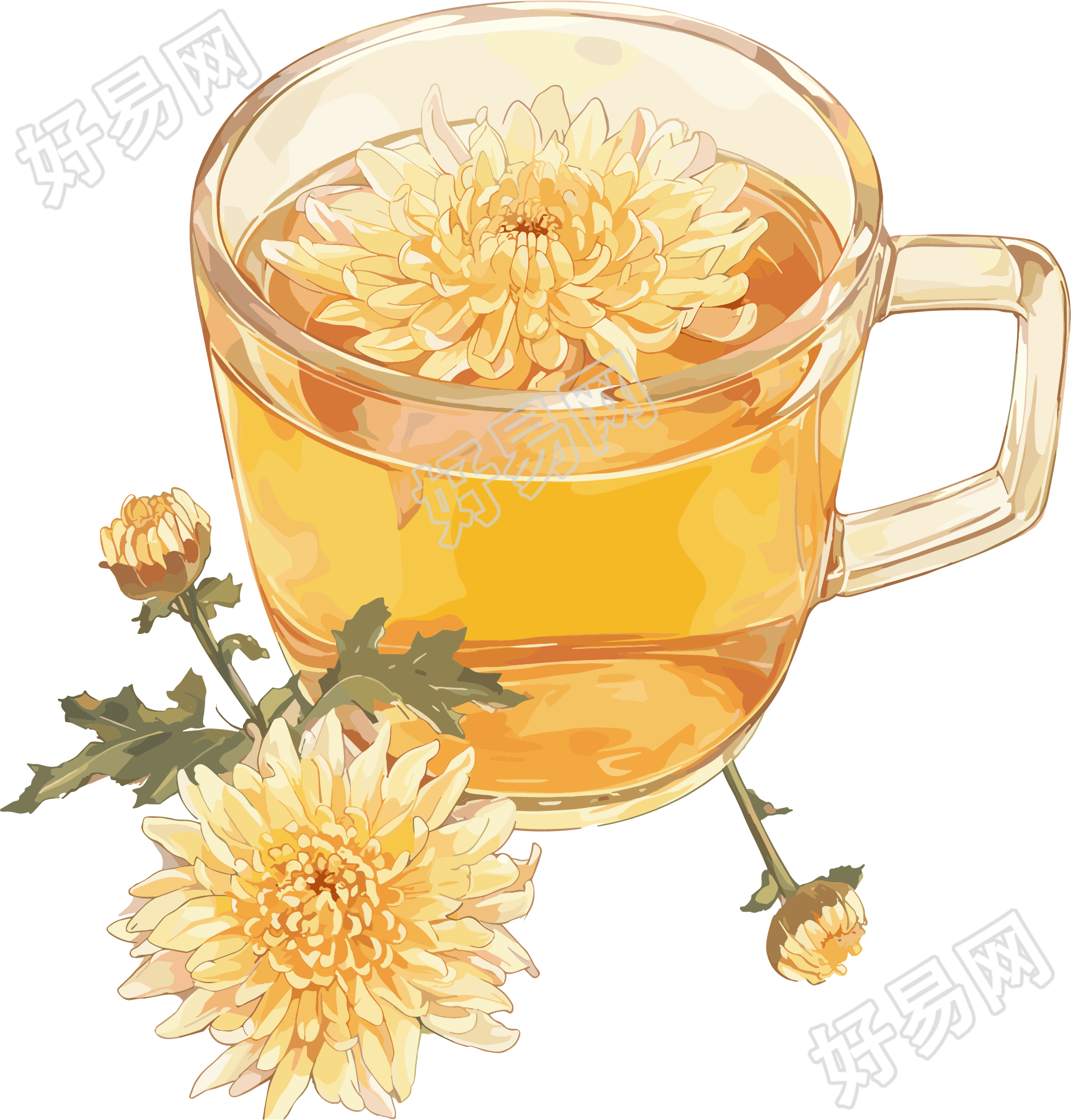 菊花茶卡通素材