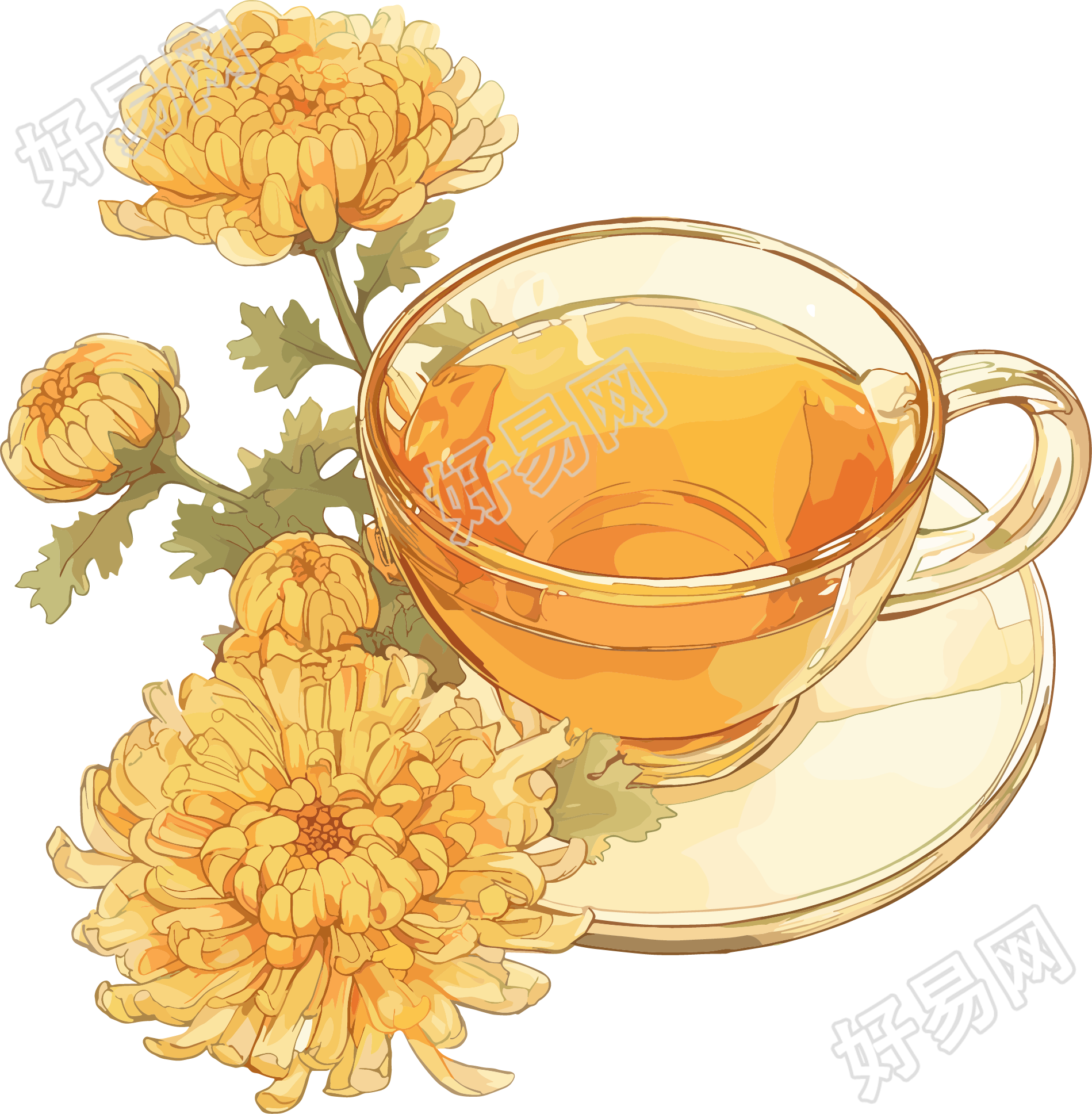 菊花茶高清插图