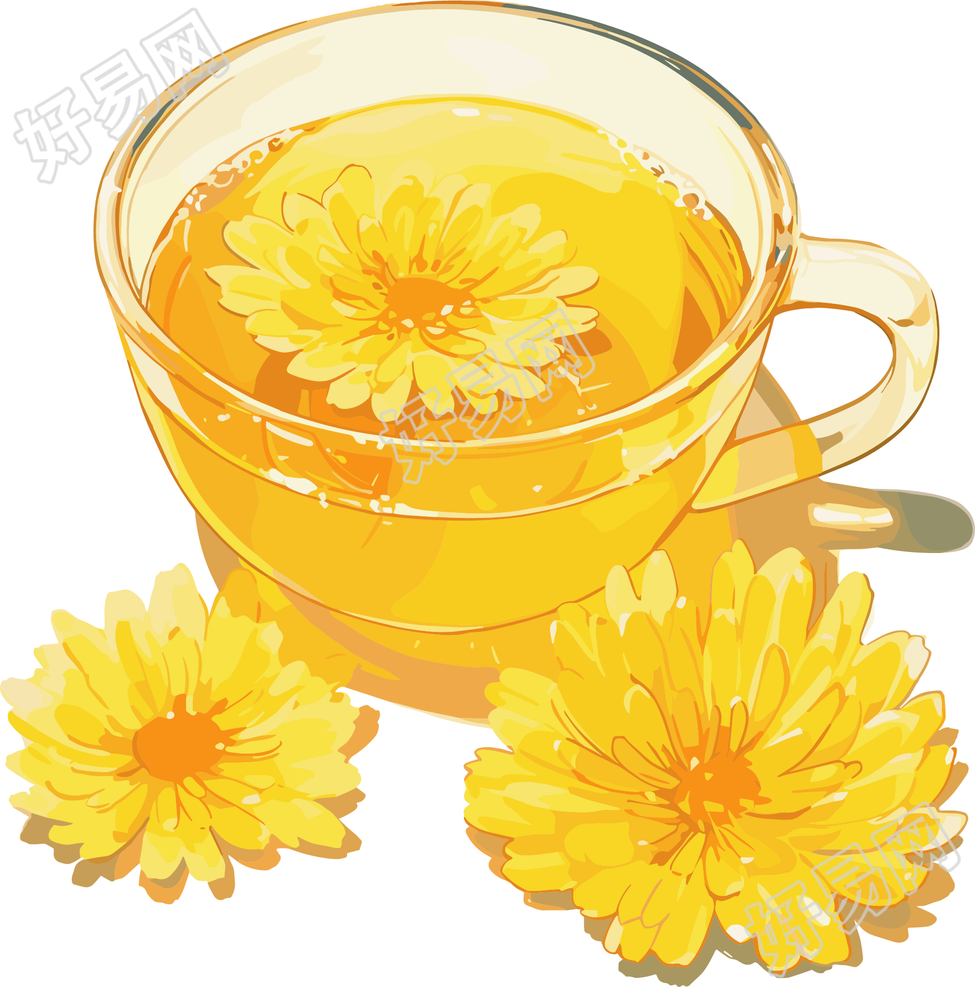菊花茶PNG插画