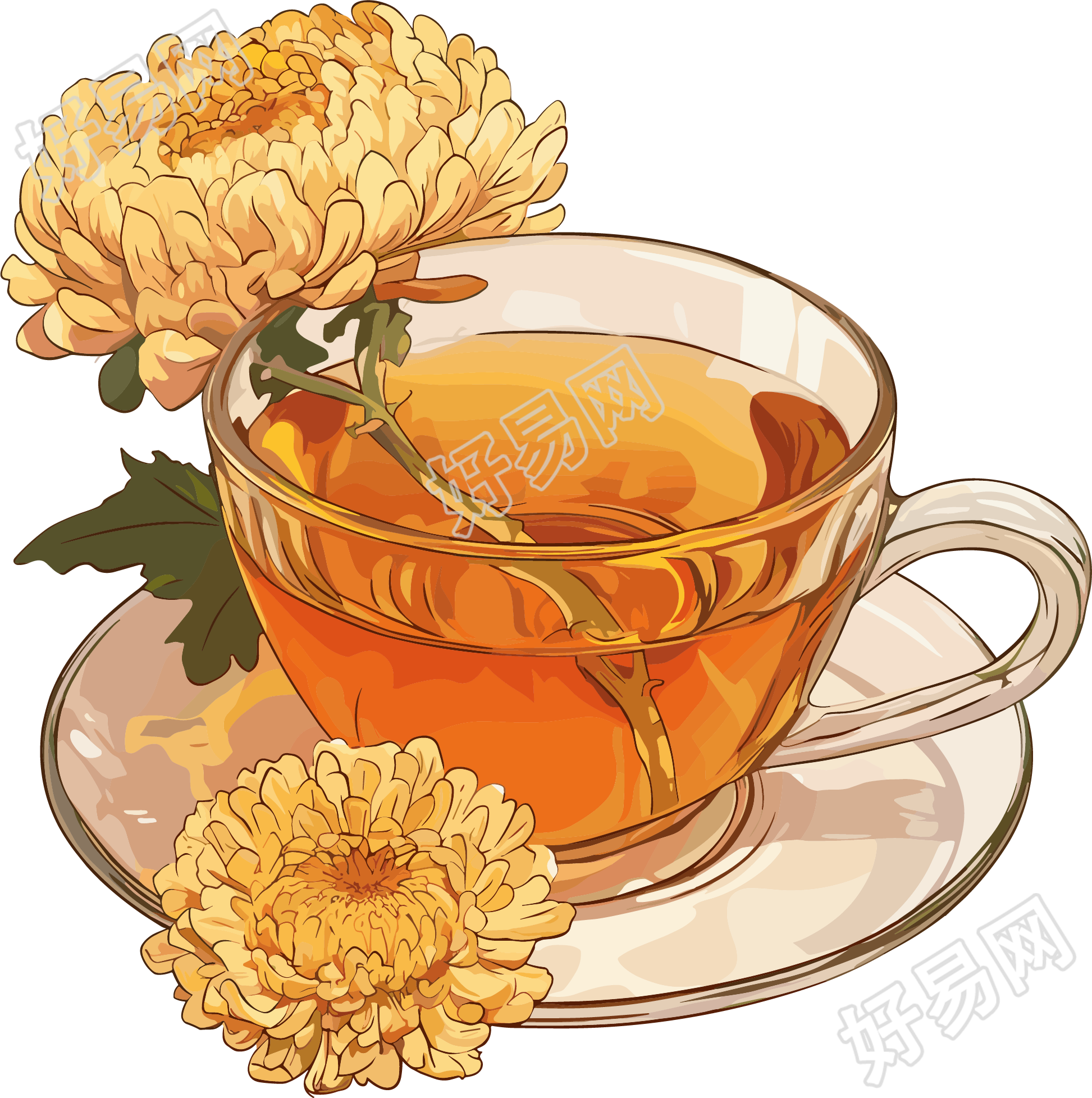 菊花茶商业插画
