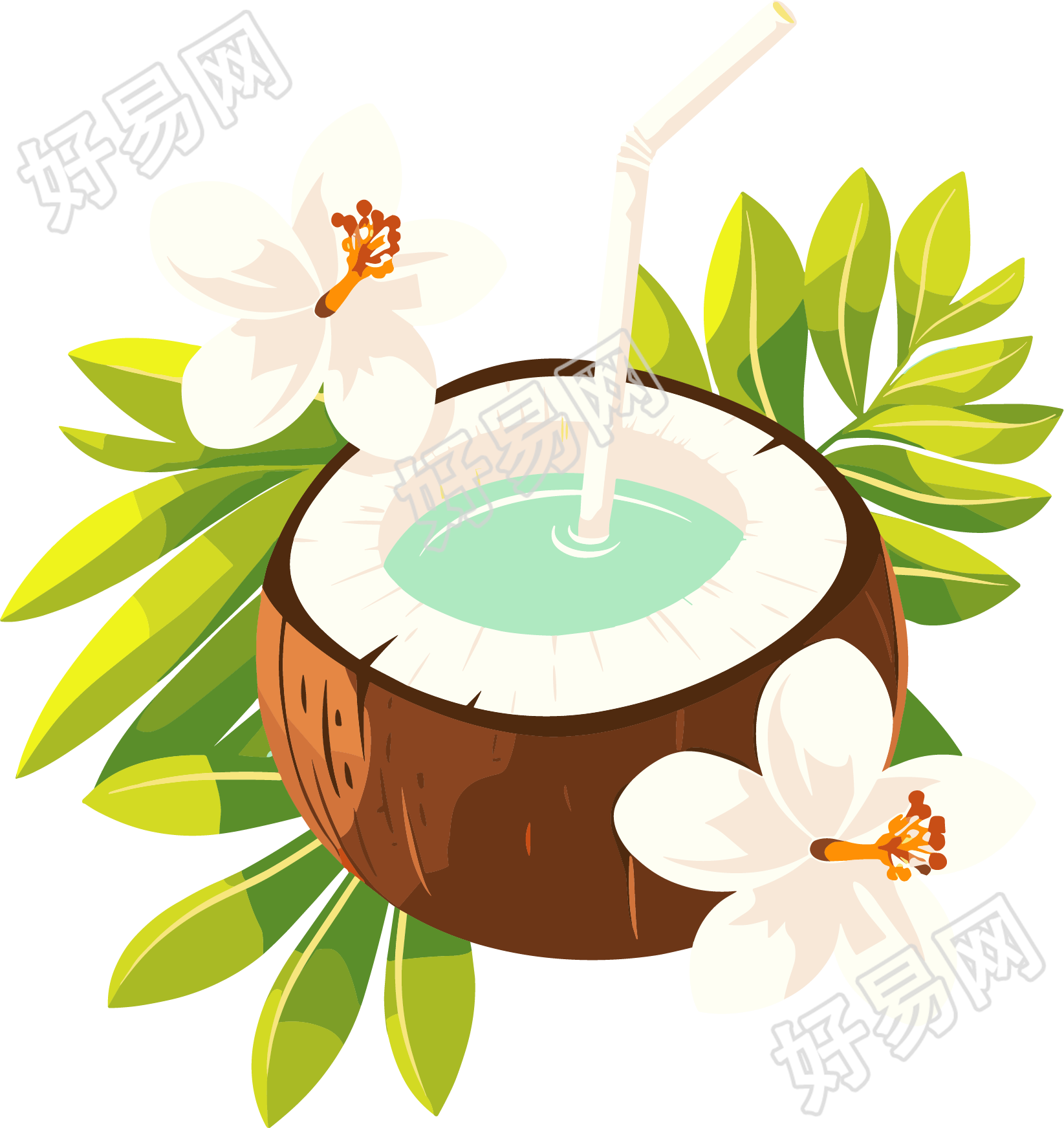 椰汁卡通插画