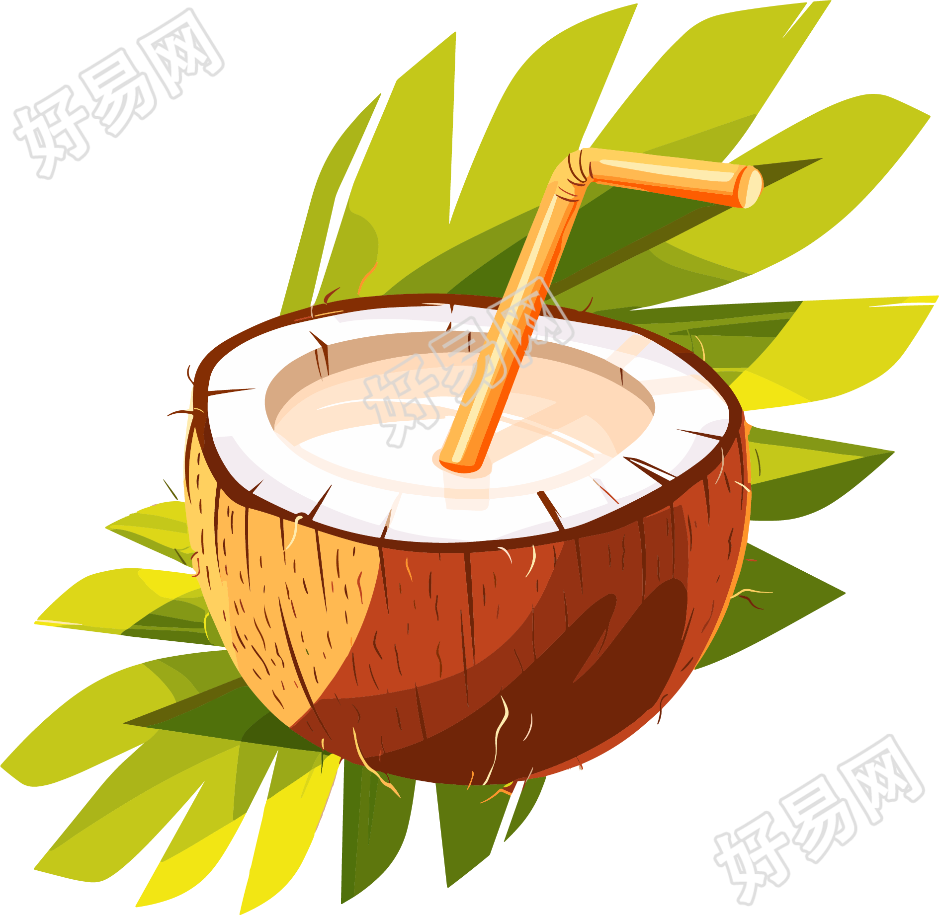 椰汁PNG图形插图