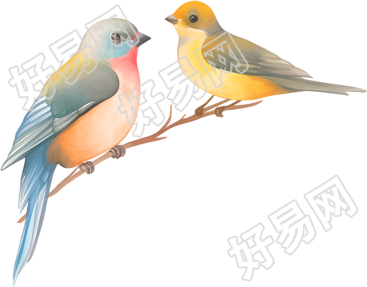 水彩鸟唯美插图