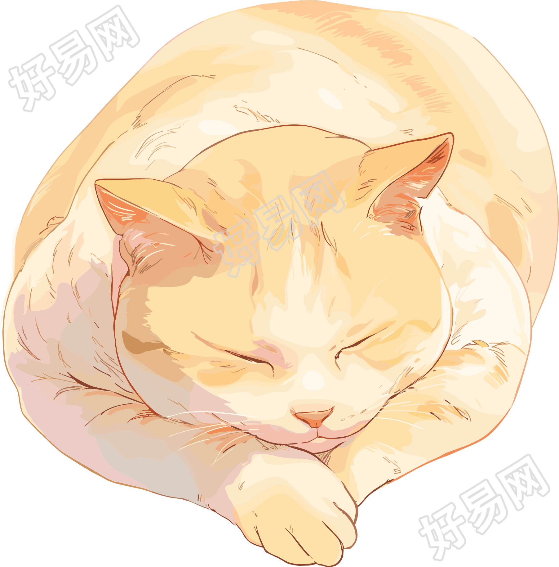 日系猫咪元素