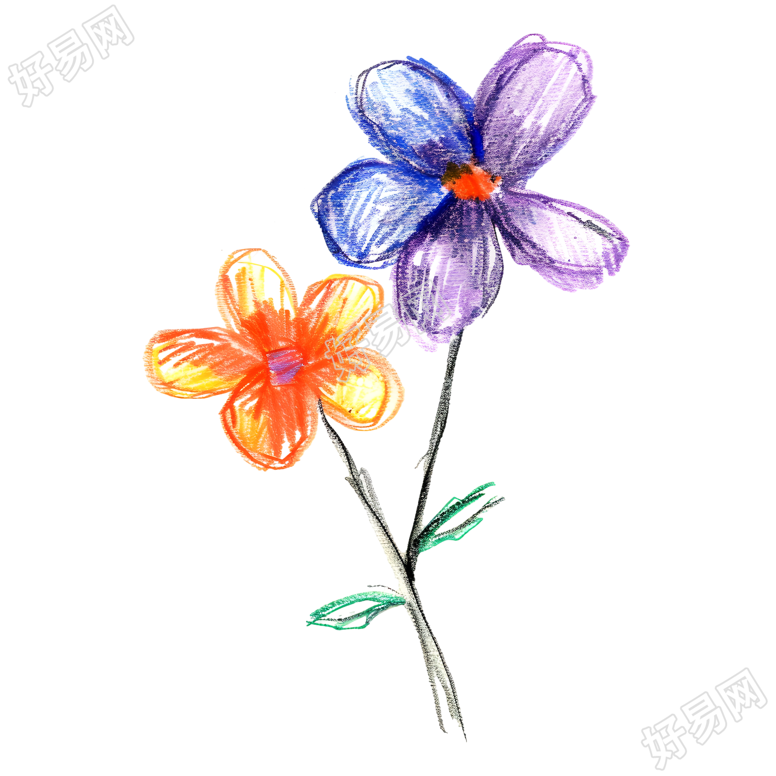 蜡笔画小花插画