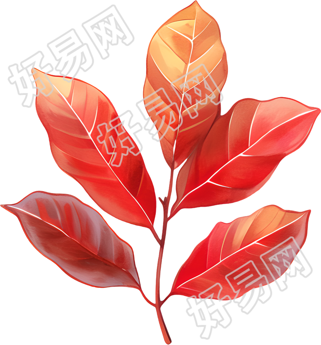 立秋树叶插画