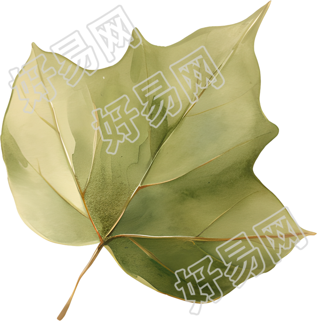 立秋树叶透明背景素材