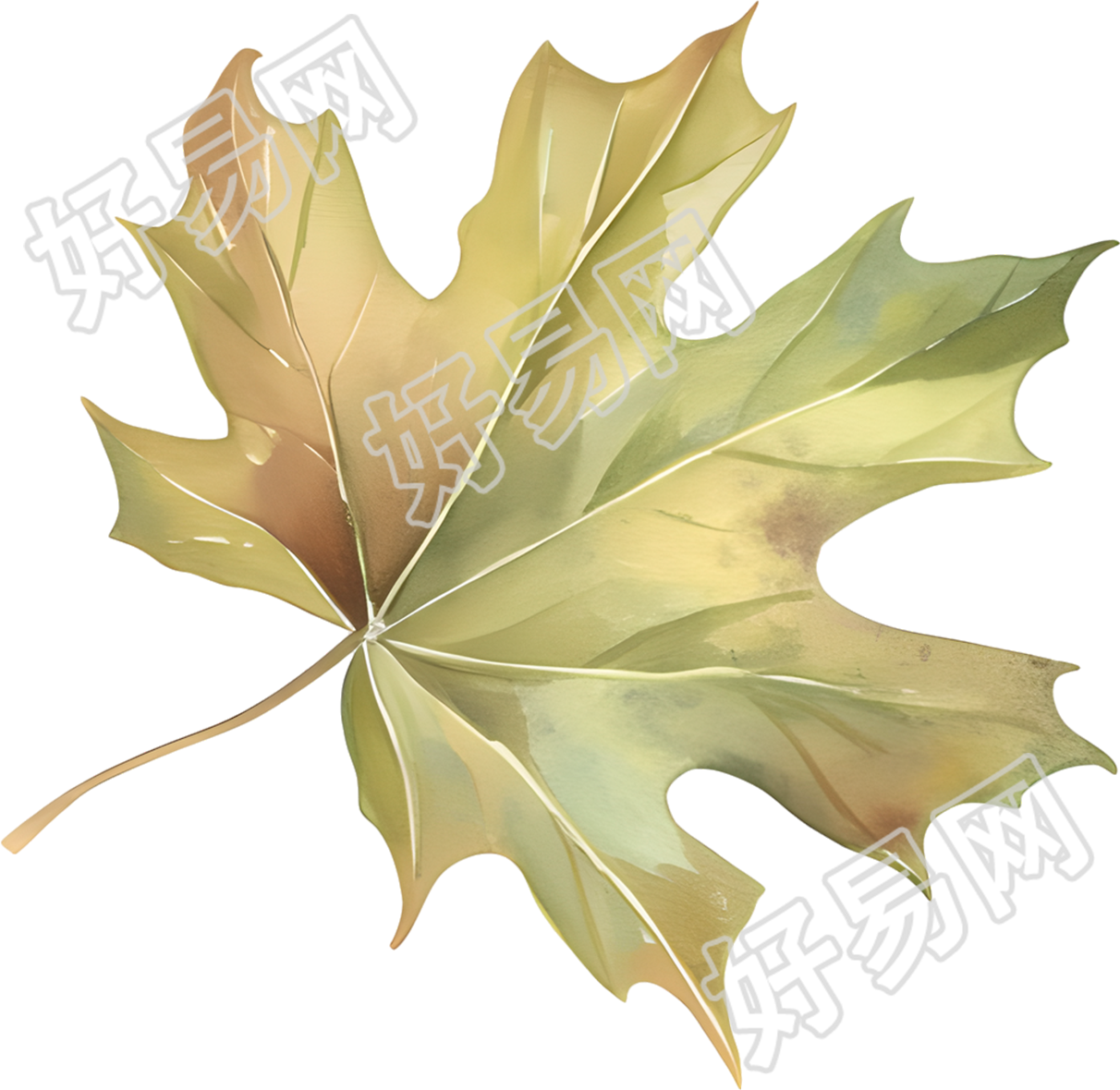 立秋枫叶唯美插图