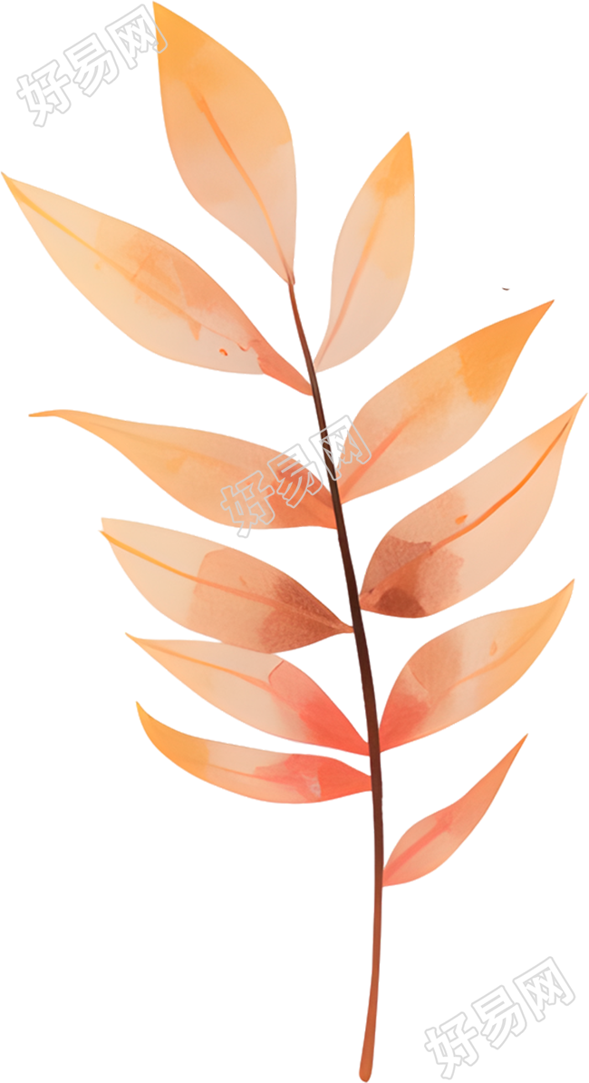 立秋树叶透明背景插画