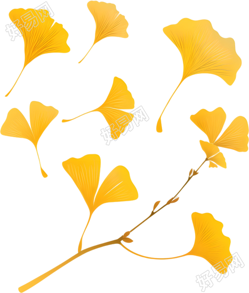 立秋银杏叶商用插画