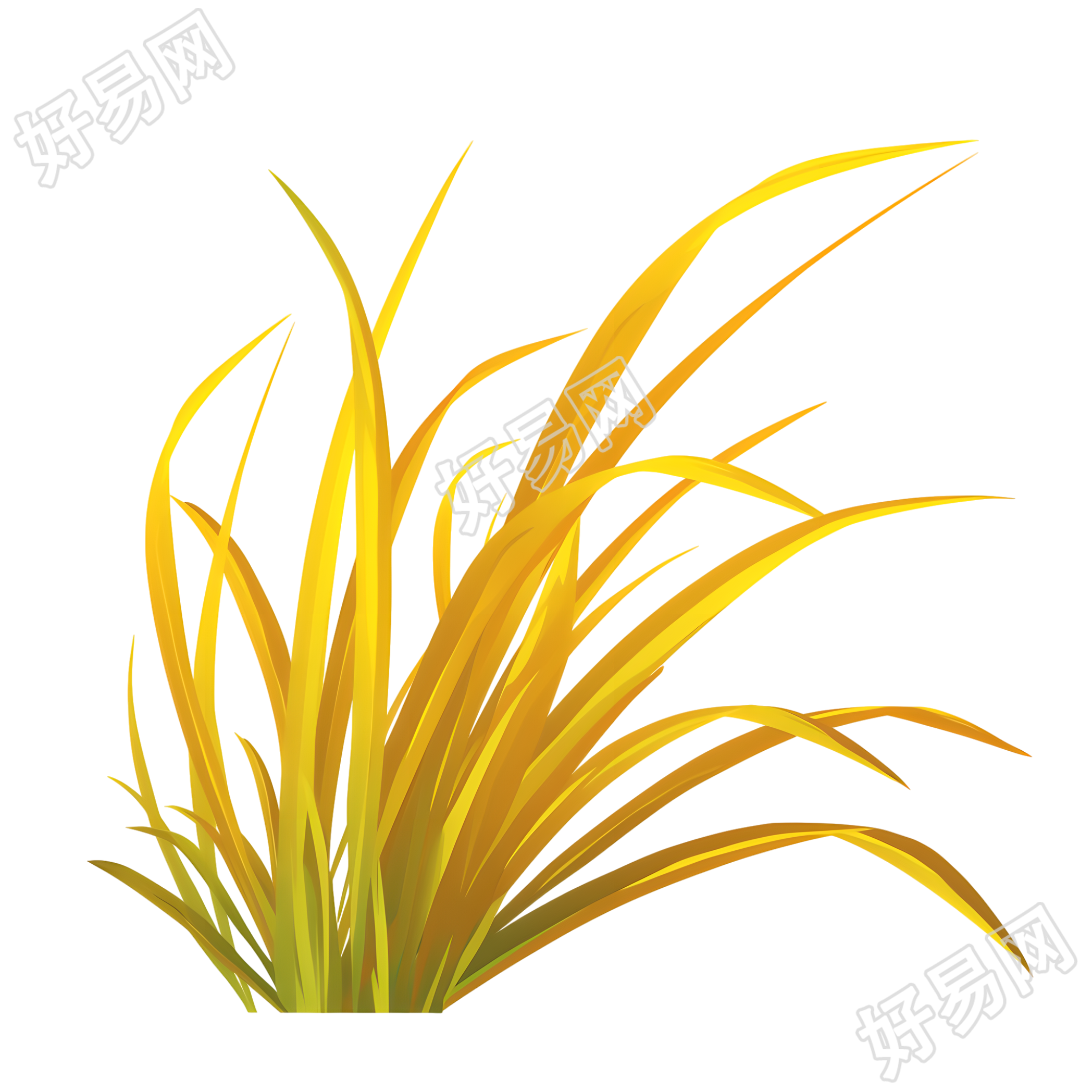 立秋芦苇插图