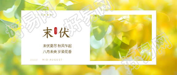 末伏时节创意微信公众号首图