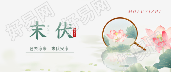 末伏唯美荷花微信公众号首图
