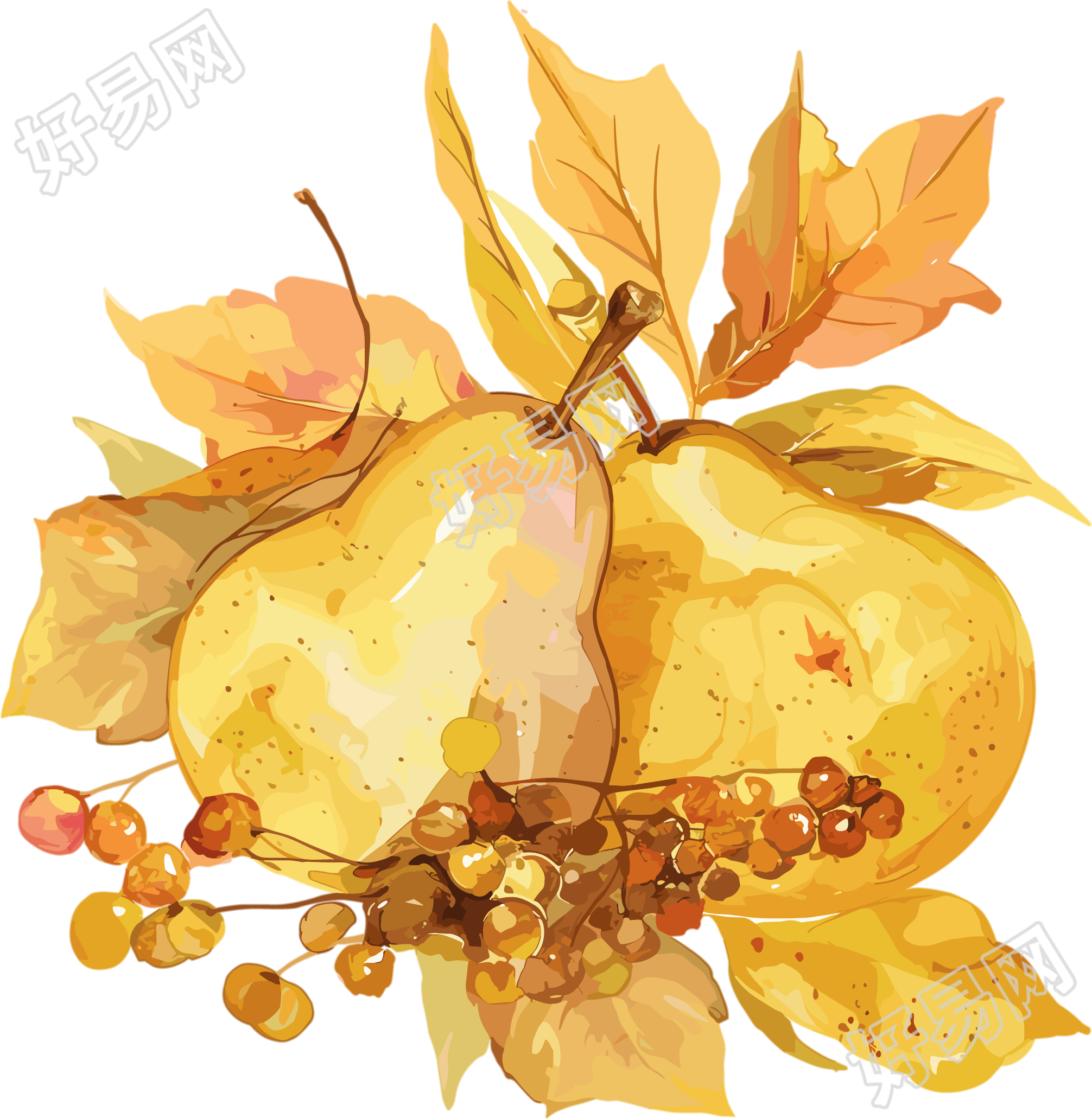 秋梨创意设计插图
