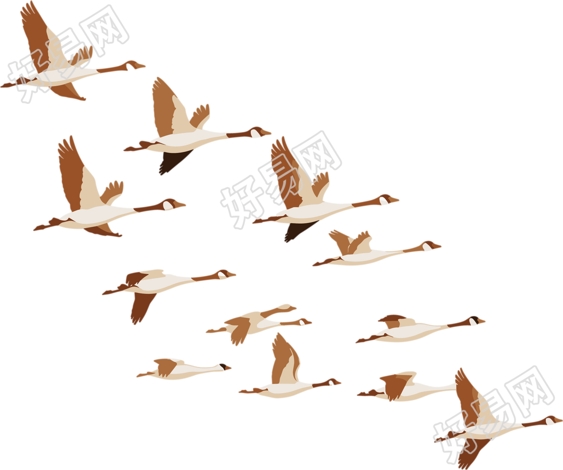 大雁插画设计元素