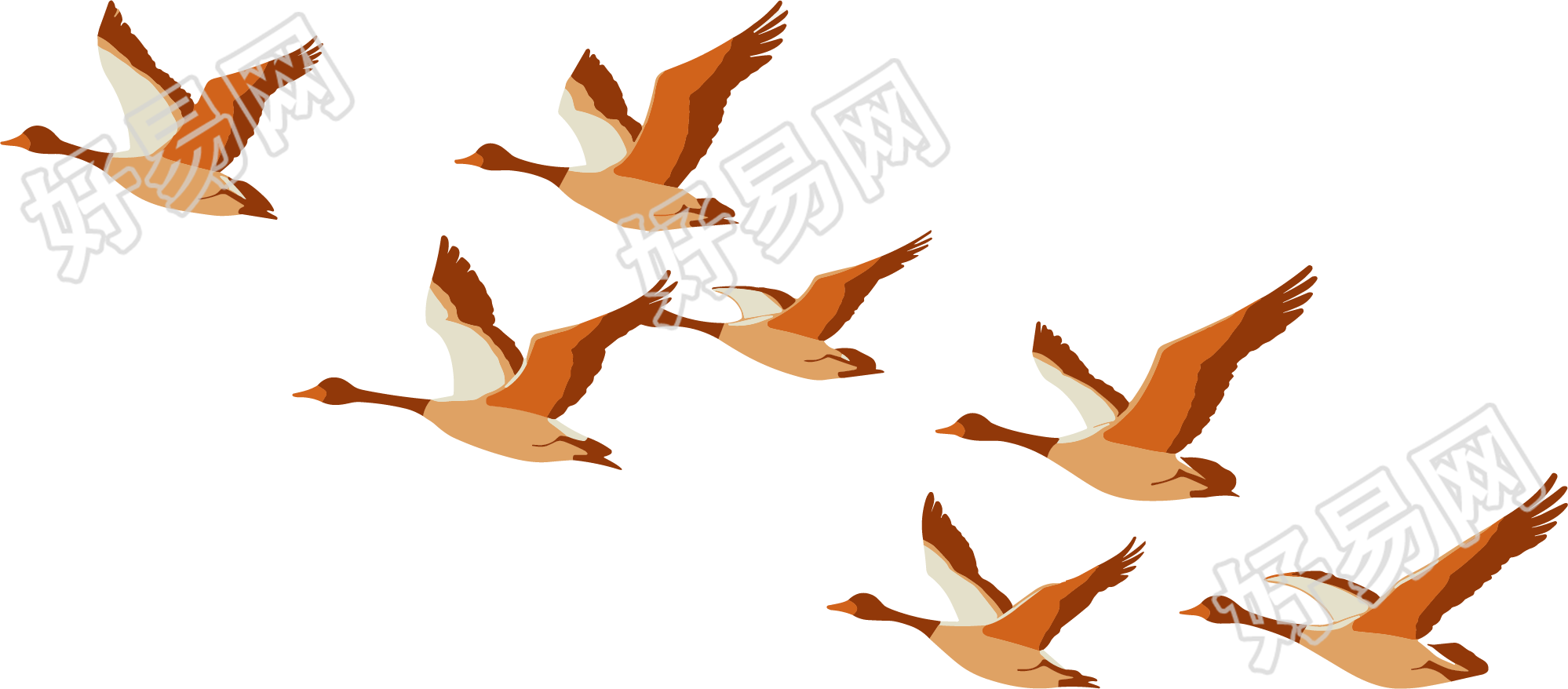 大雁可商用插图