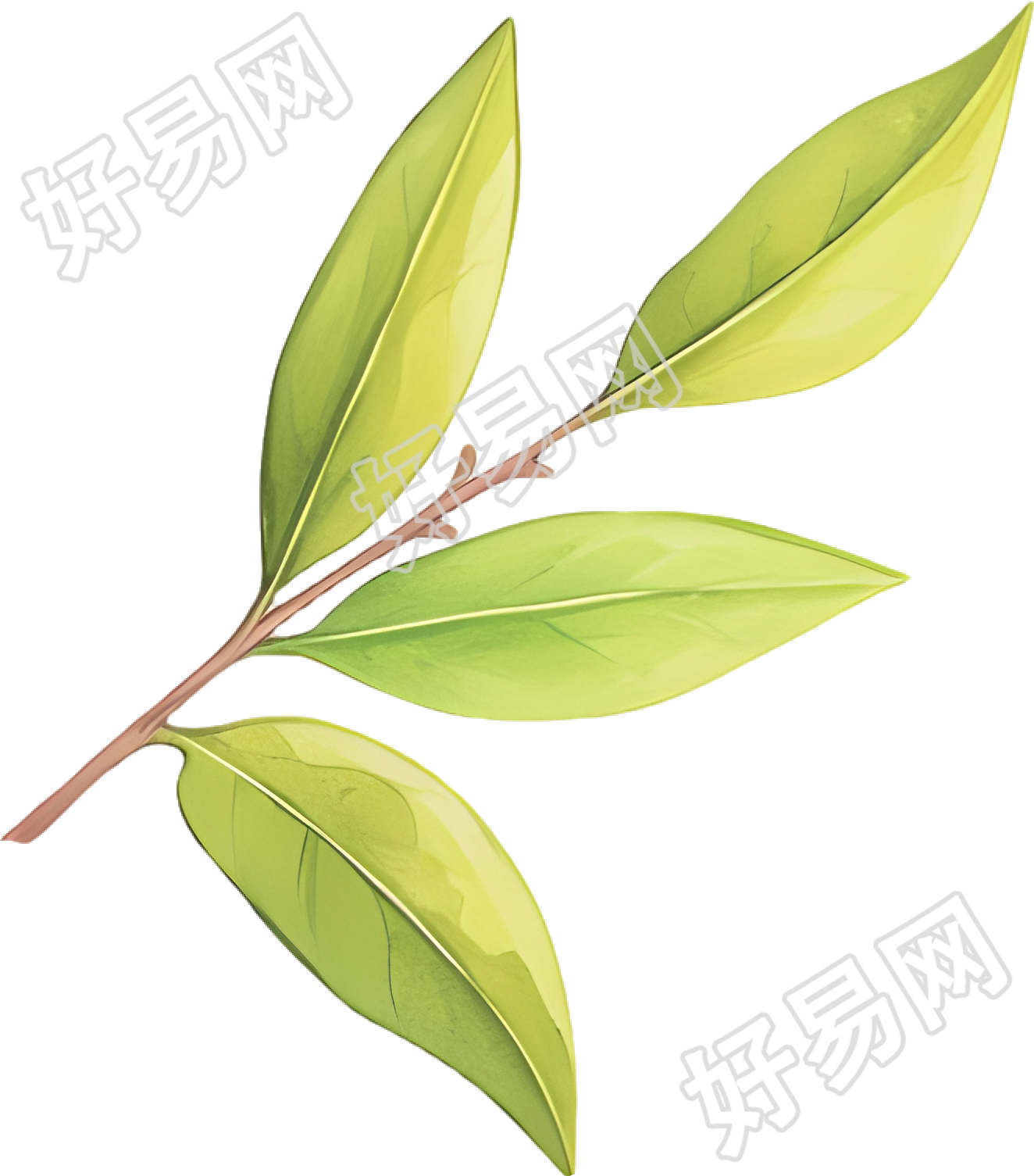 白露茶可商用元素