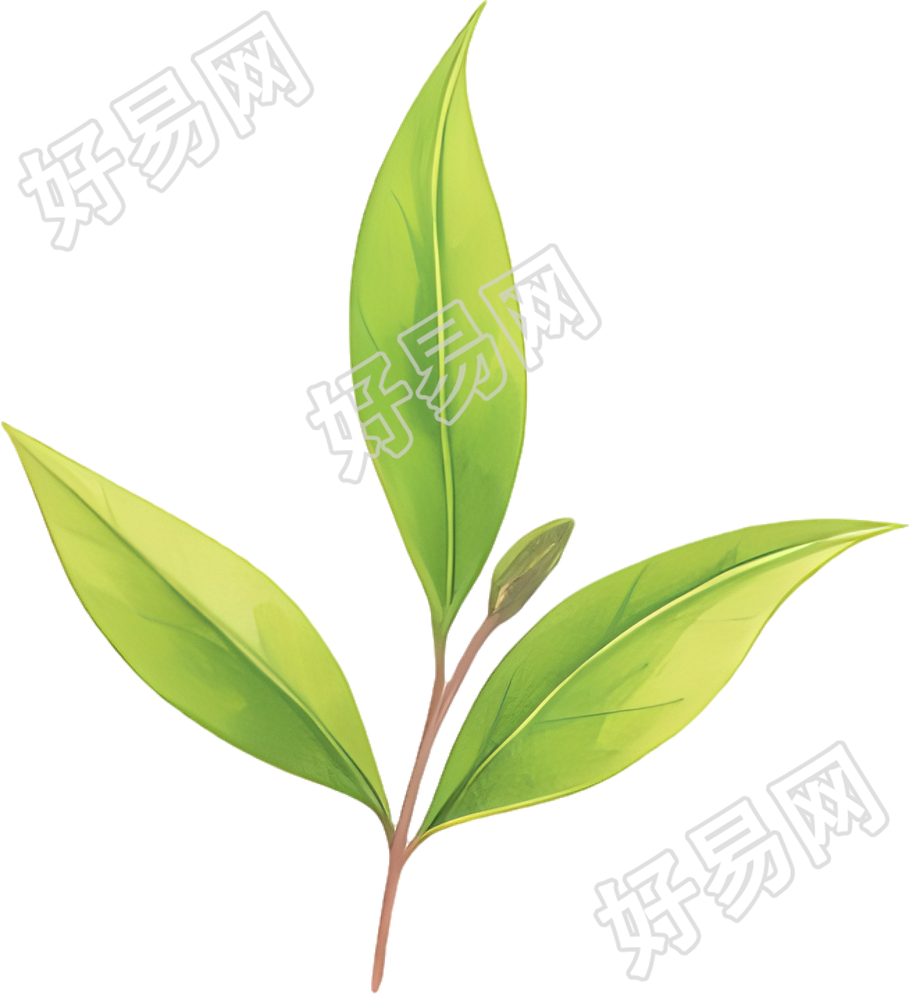 白露茶透明背景素材