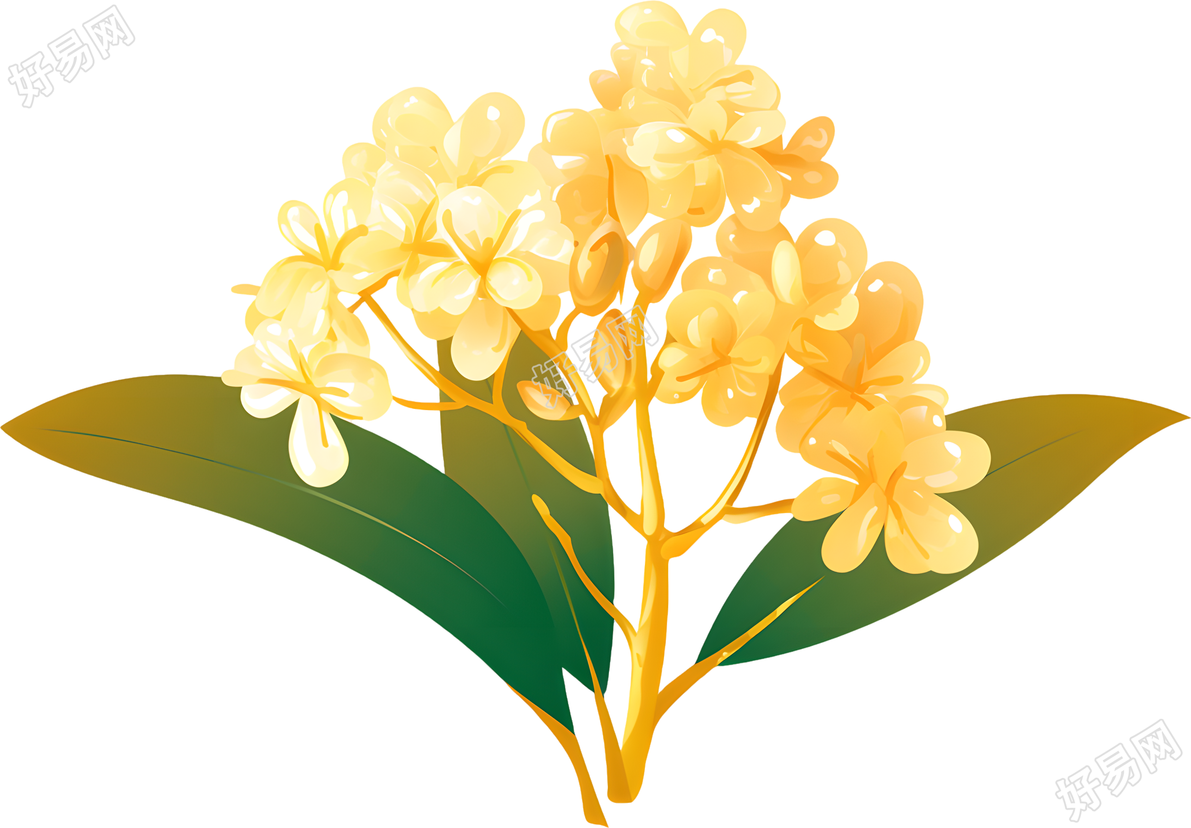 黄色桂花矢量插图