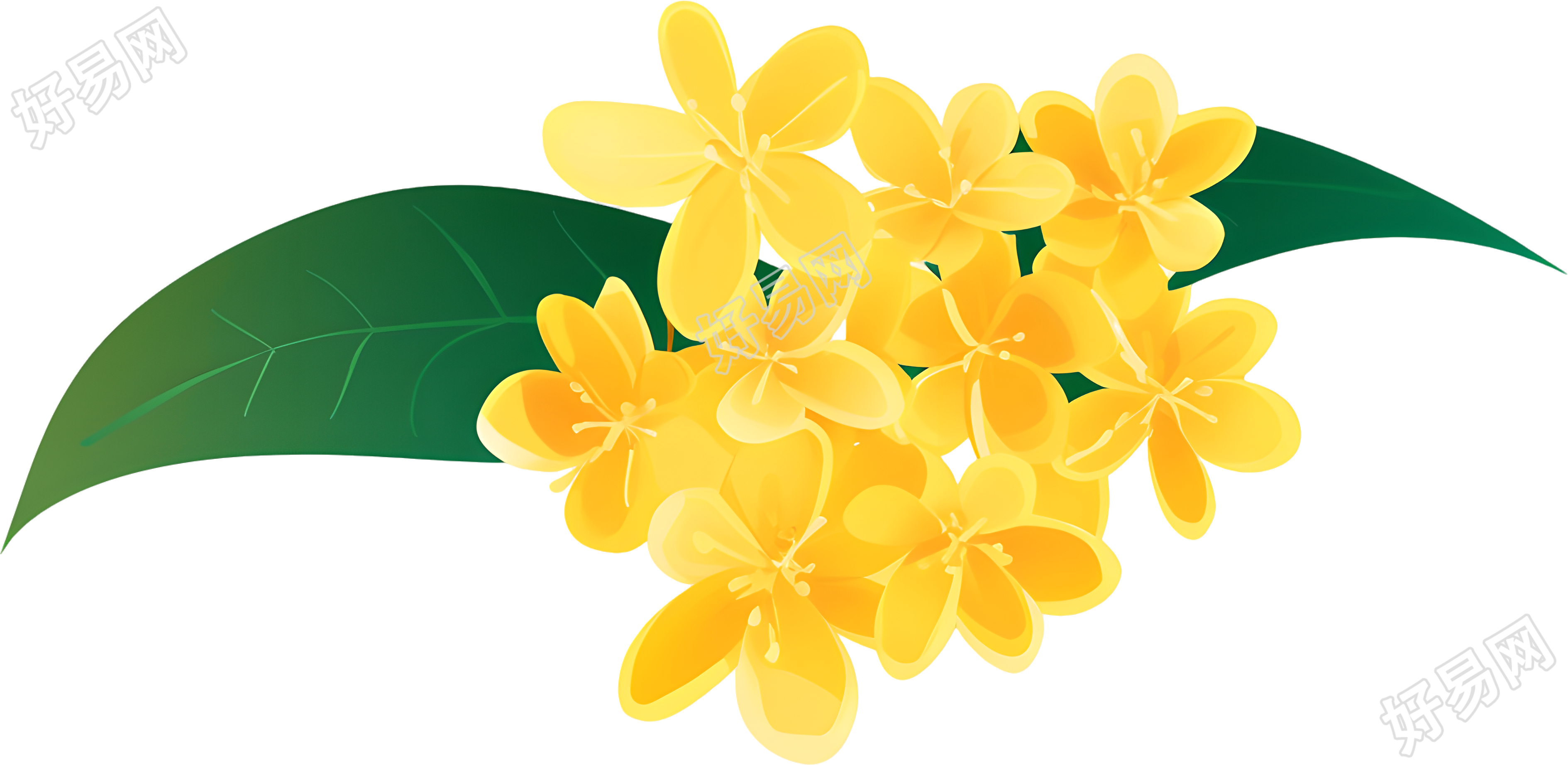 桂花唯美插图