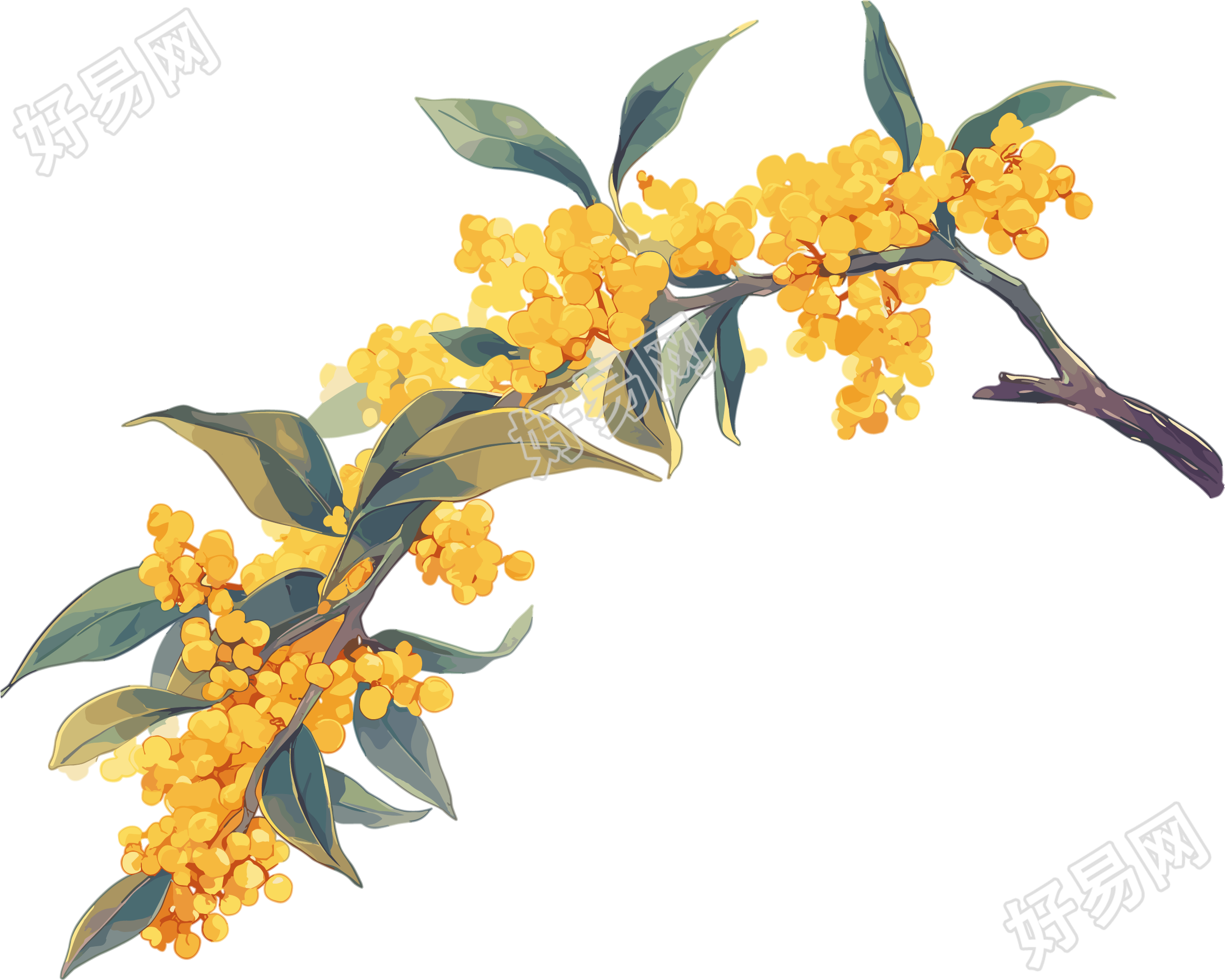 桂花插画设计元素