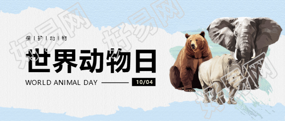 世界动物日蓝色简约微信公众号首图