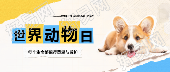 世界动物日可爱狗狗微信公众号首图