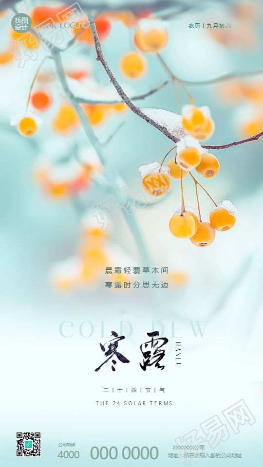 寒露节气浆果实景宣传手机海报