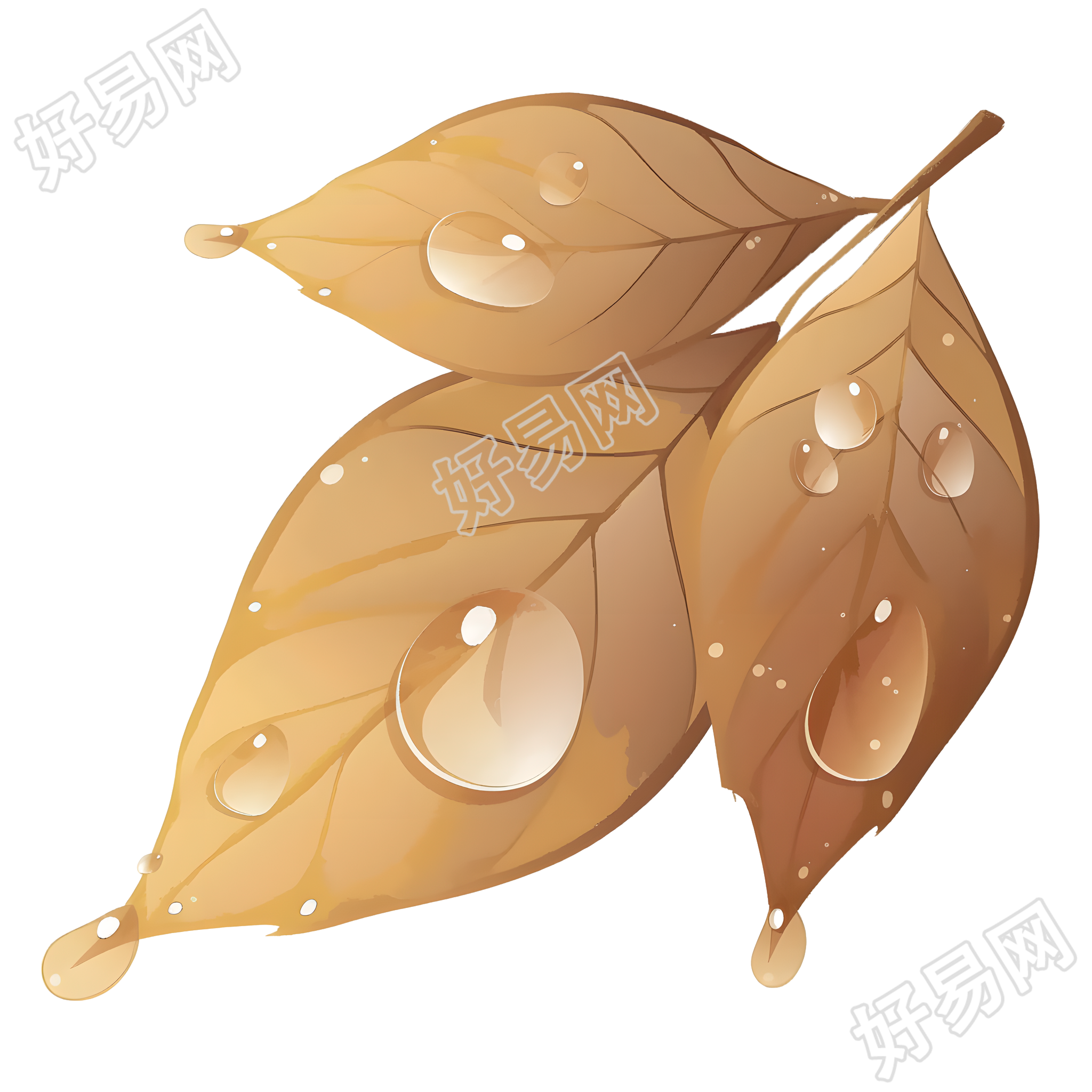 露水水彩风格插画