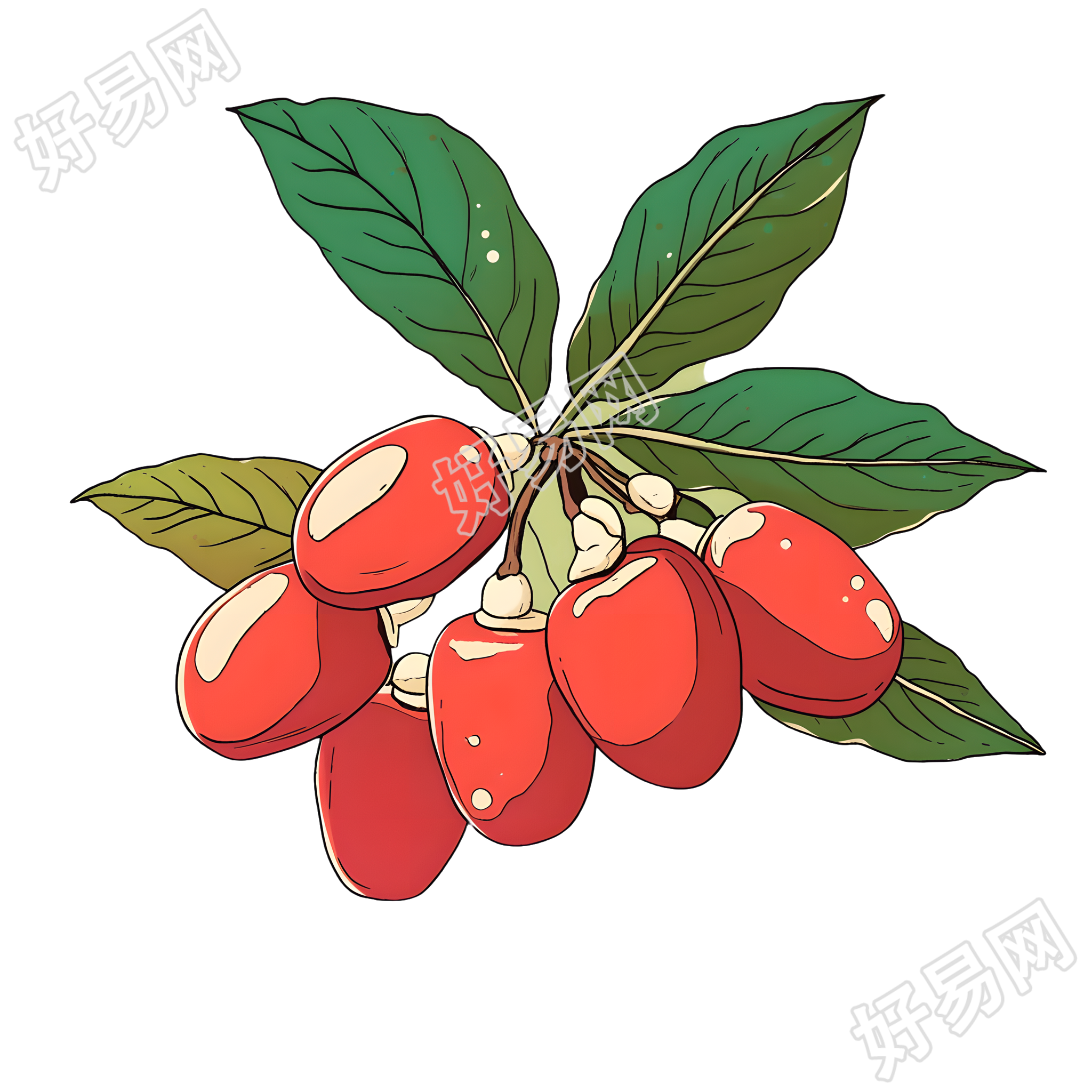 茱萸插画设计元素