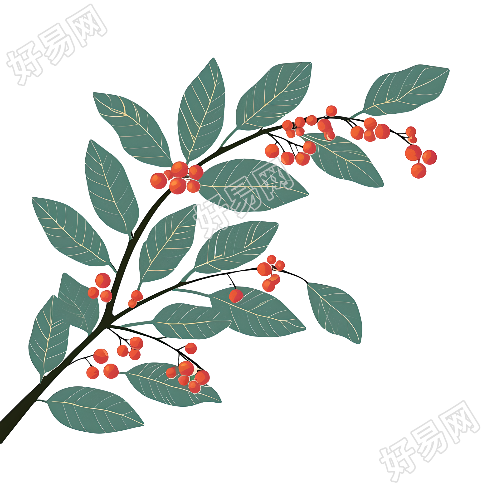 茱萸PNG图形素材