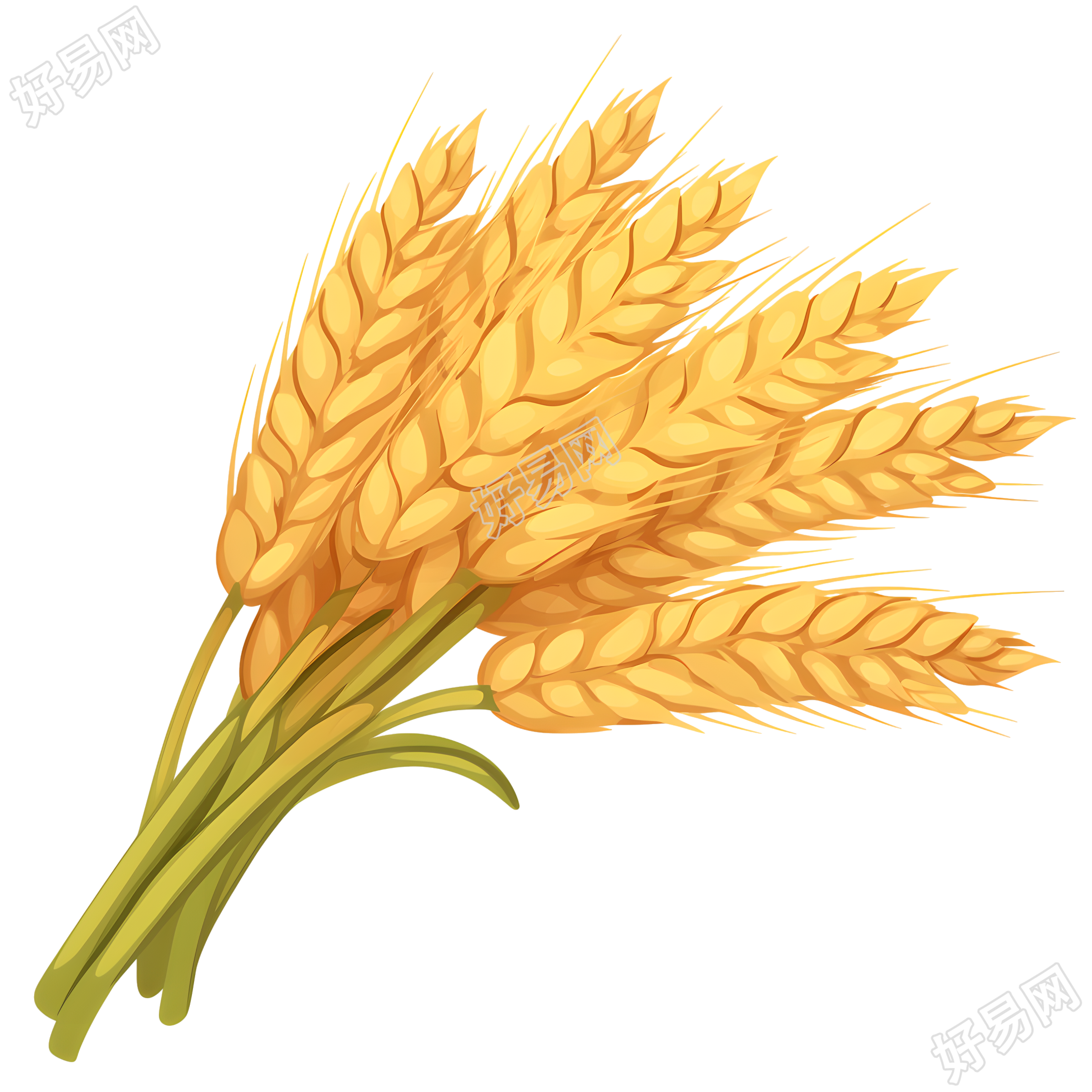 小麦透明背景元素