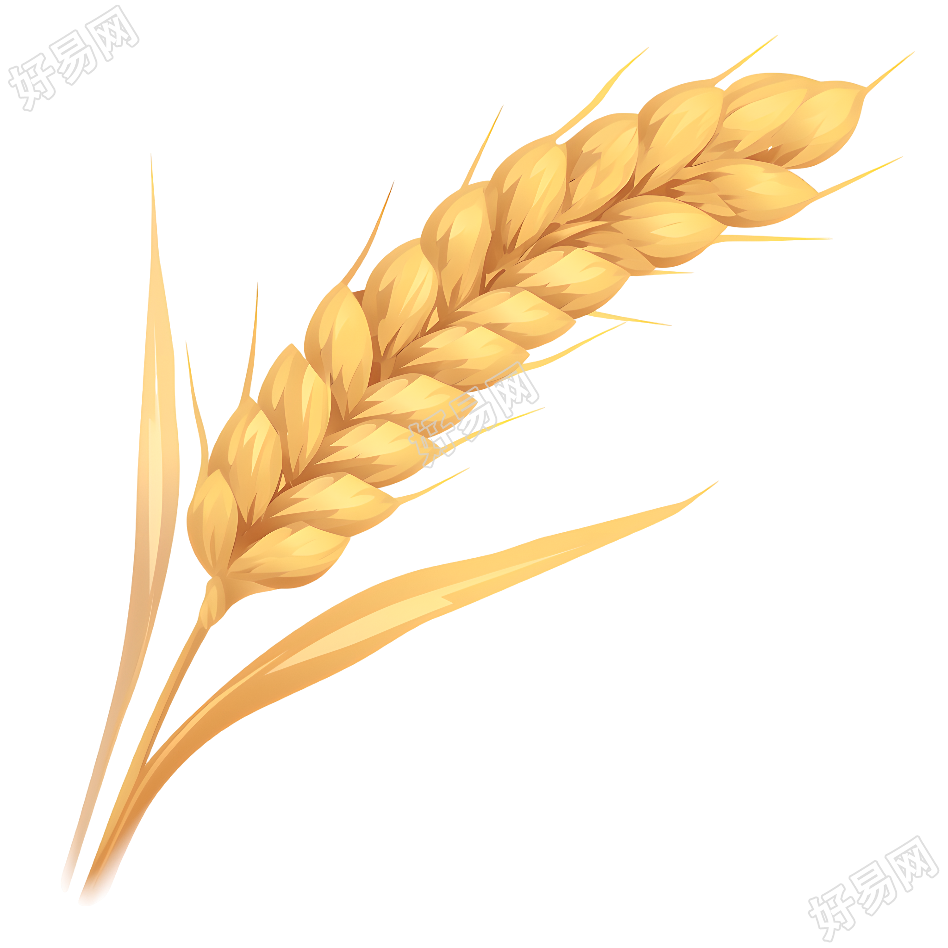 小麦卡通插图