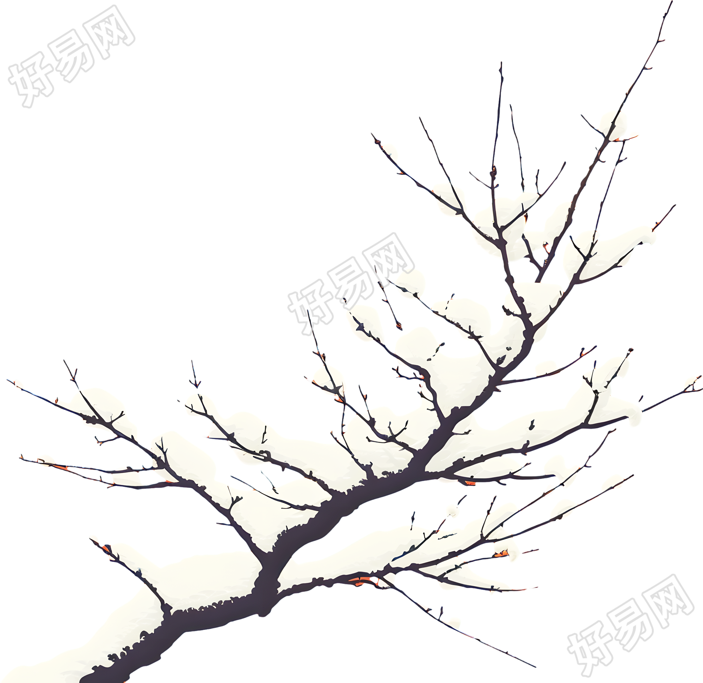大雪树枝插图