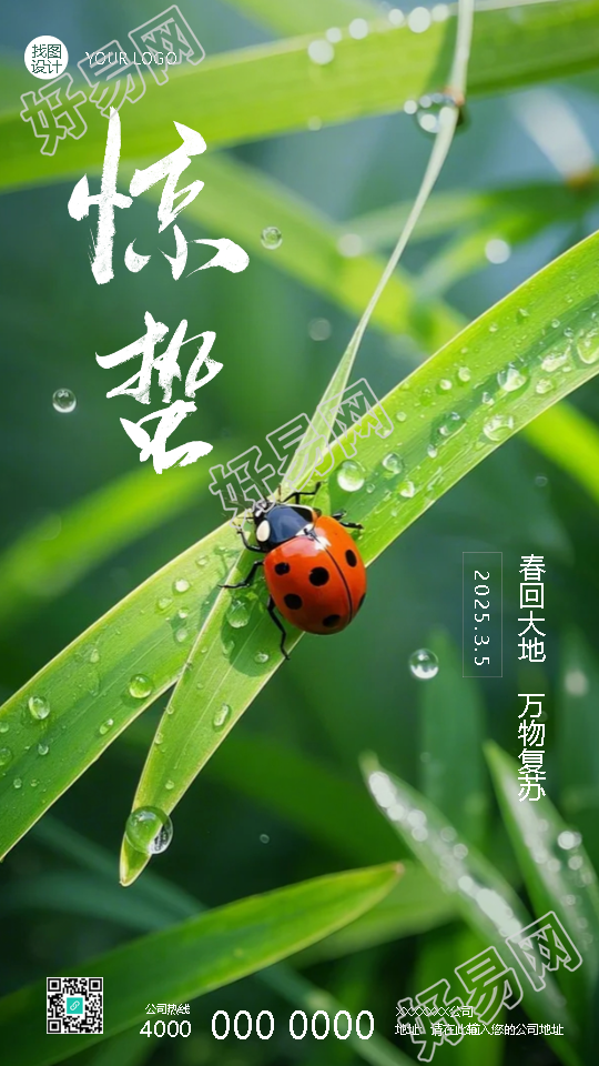惊蛰节气万物生机盎然手机海报