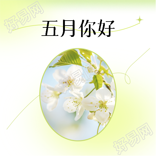 五月你好小清新风格微信公众号次图