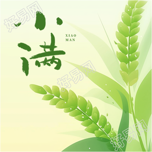 小满时节绿色渐变微信公众号次图